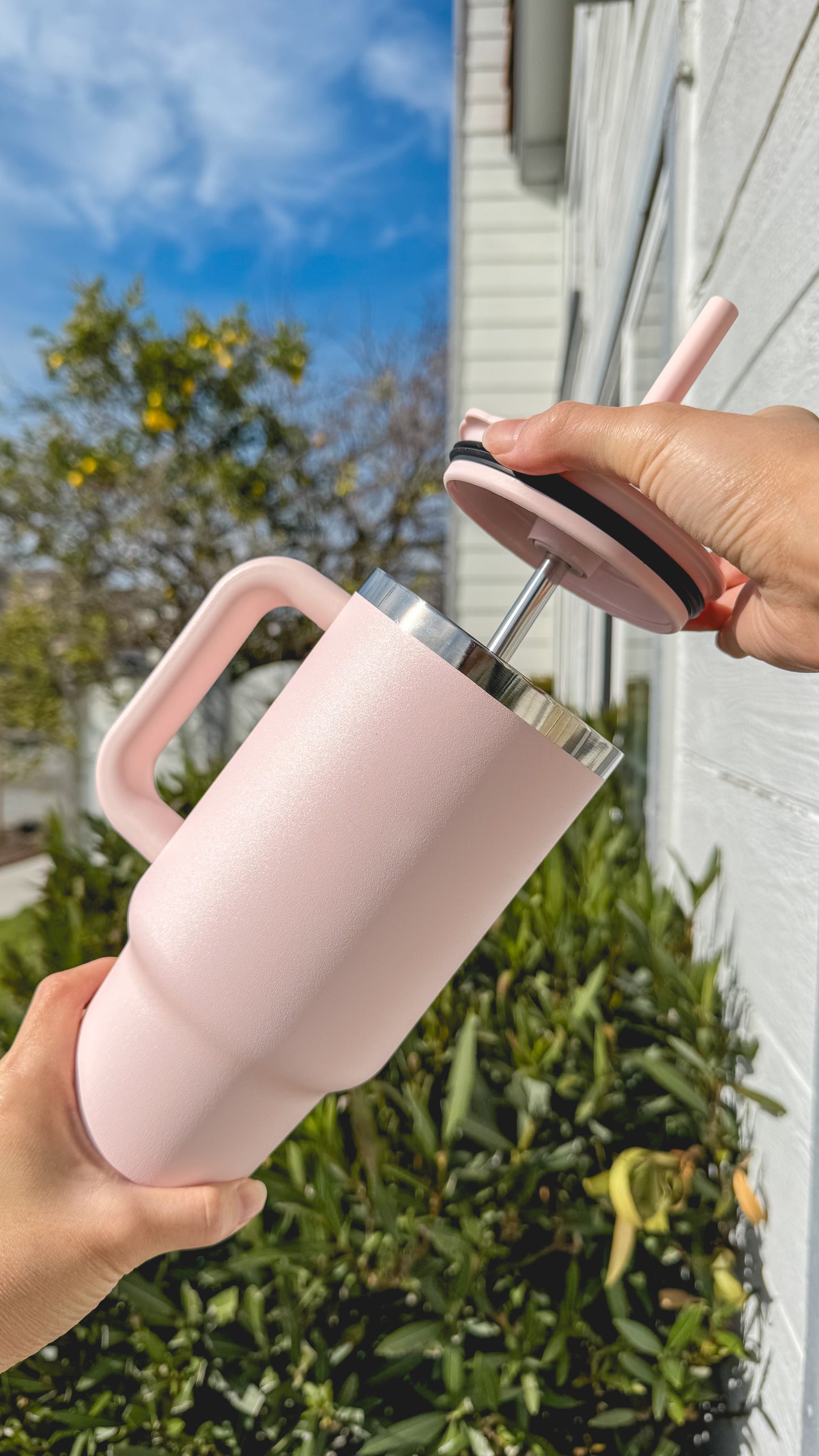koala straw for hydroflask tumbler