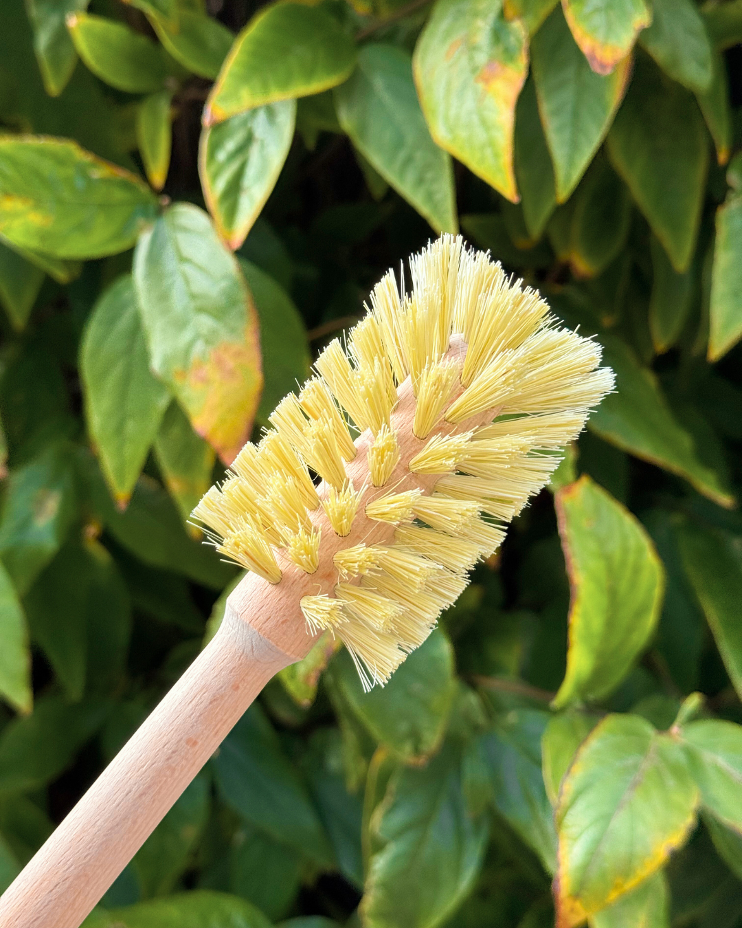 plastic-free bottle brush